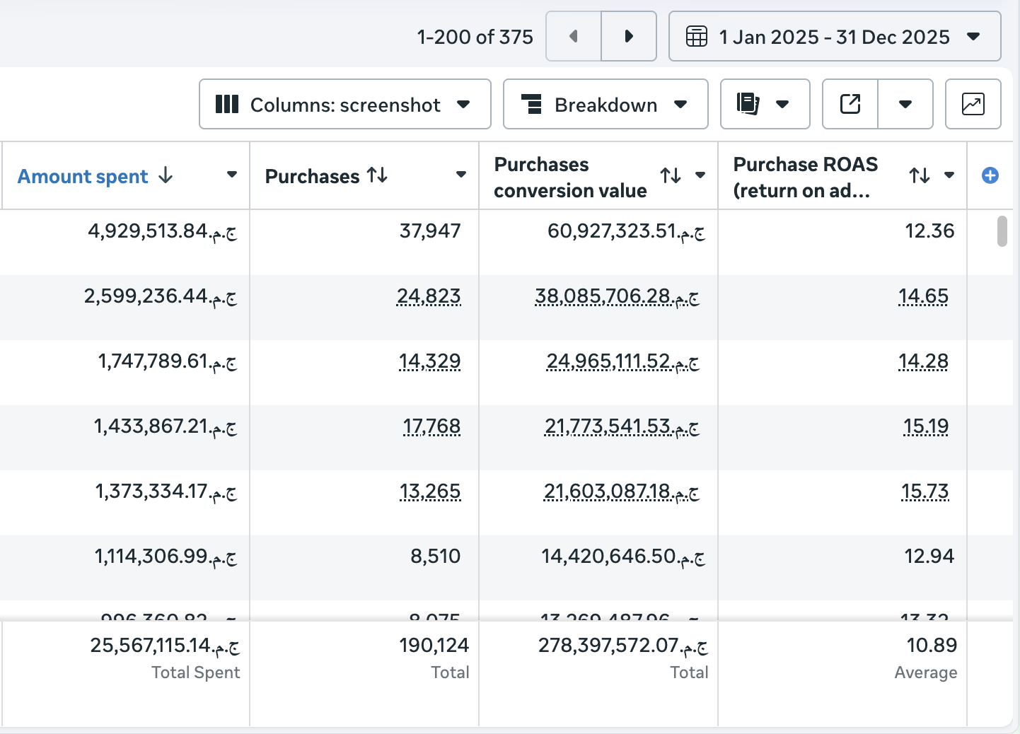 Top spenders across one business portfolio. 190K+ purchases, 278M EGP revenue generated in 2025.