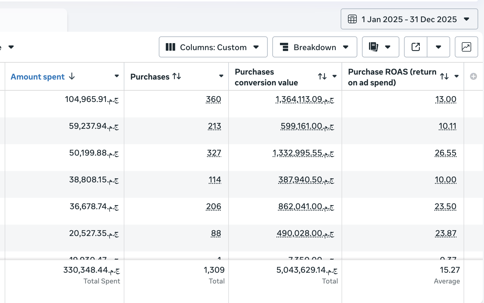 High-efficiency account. 1,500 purchases at an average 15× ROAS across the year.